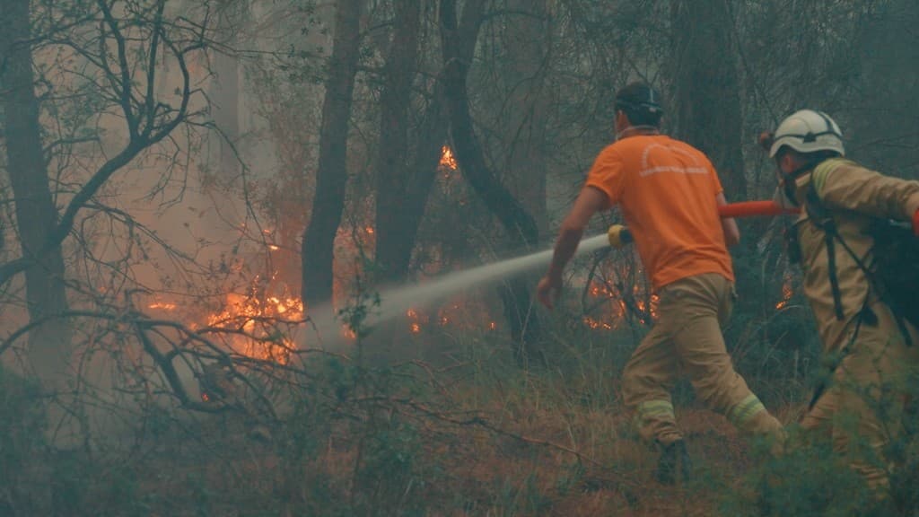 From Ashes Part I: Land of the Honey Bug film still 6