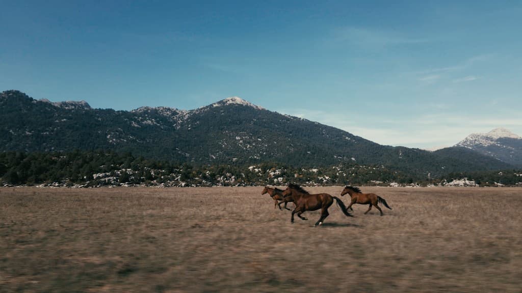 From Ashes Part II: The Mountainside of Ormana film still 8