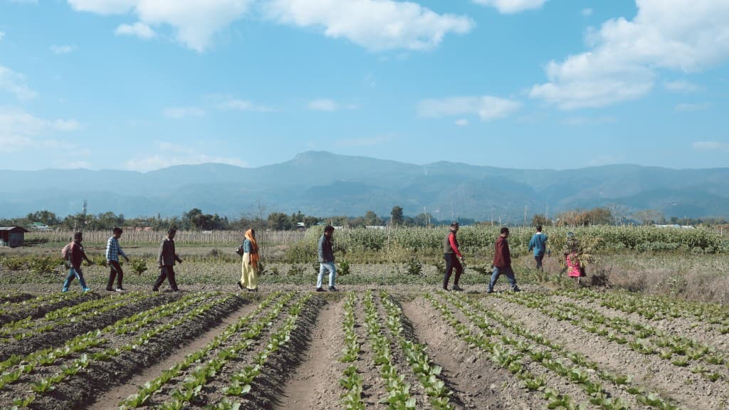 Green Refuge film still 3