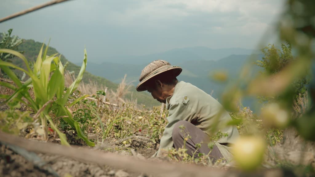 Green Refuge film still 7