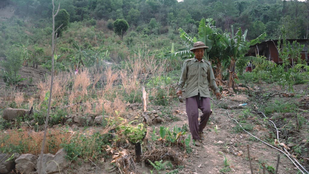 Green Refuge film still 8