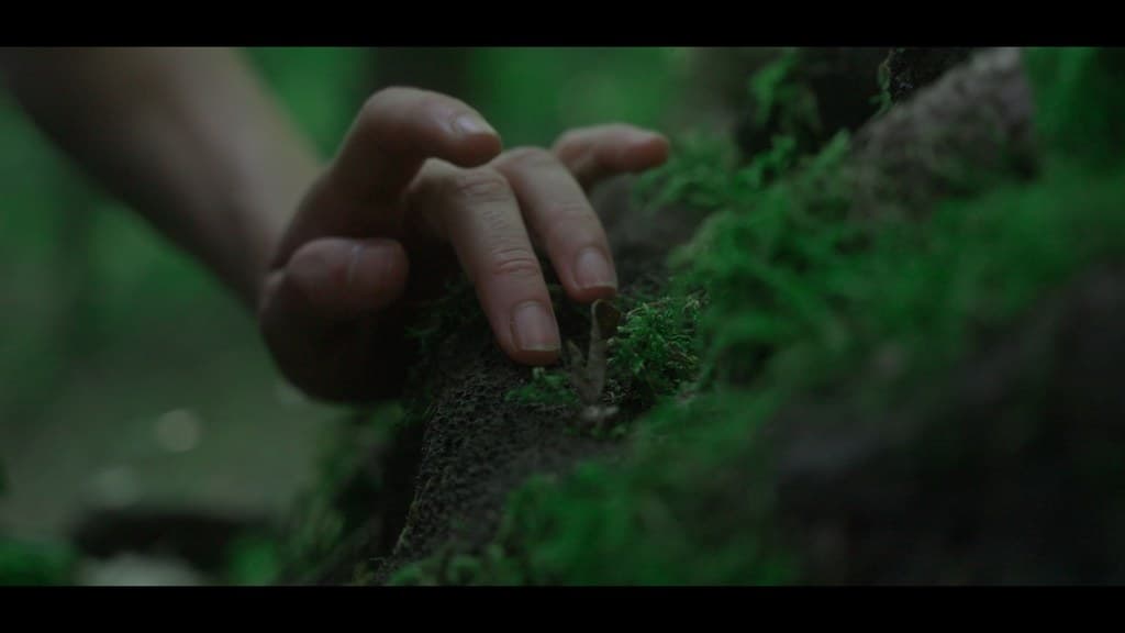 Nothing Disappears still 1
