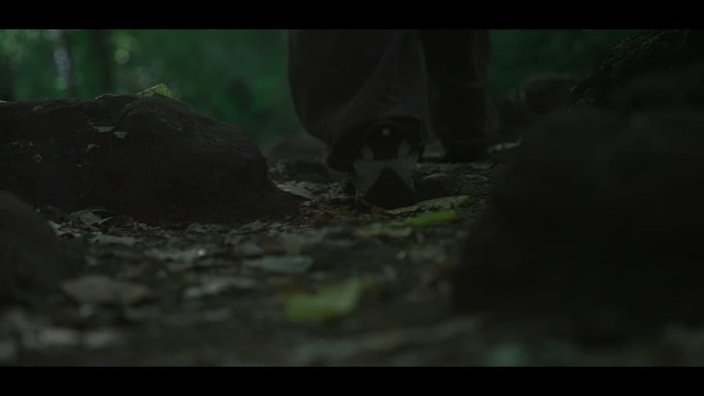 Nothing Disappears still 2