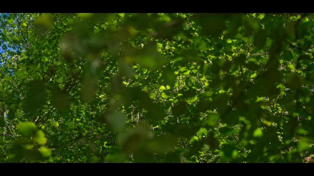 Nothing Disappears still 6