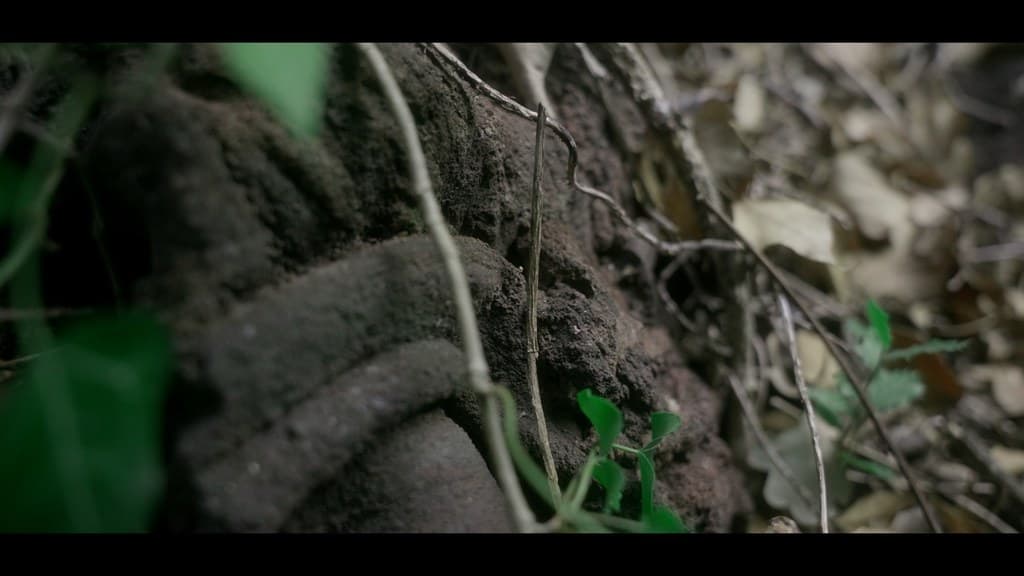 Nothing Disappears still 9