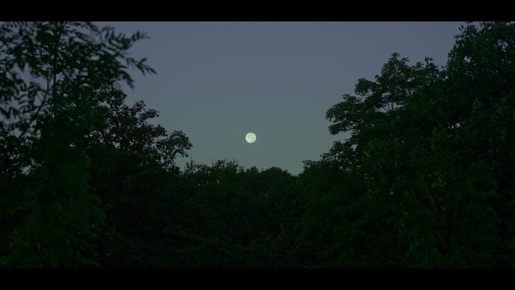 Nothing Disappears still 19