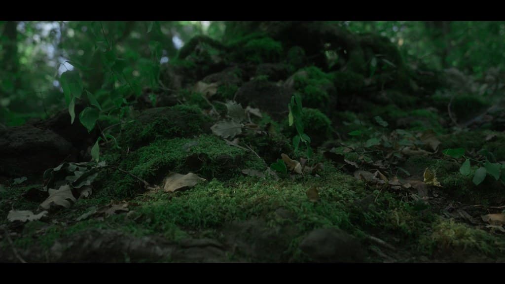 Nothing Disappears still 20