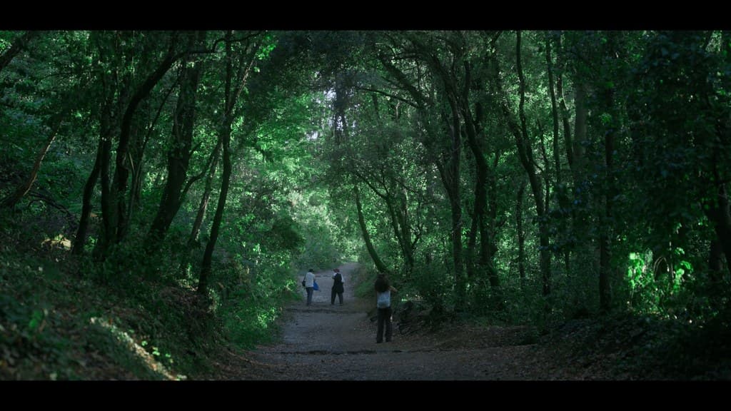 Nothing Disappears still 26