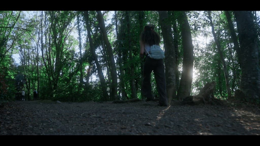 Nothing Disappears still 27