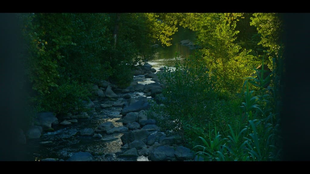 Nothing Disappears still 29