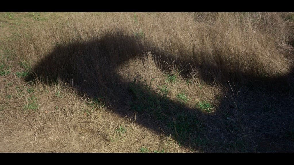 Nothing Disappears still 33