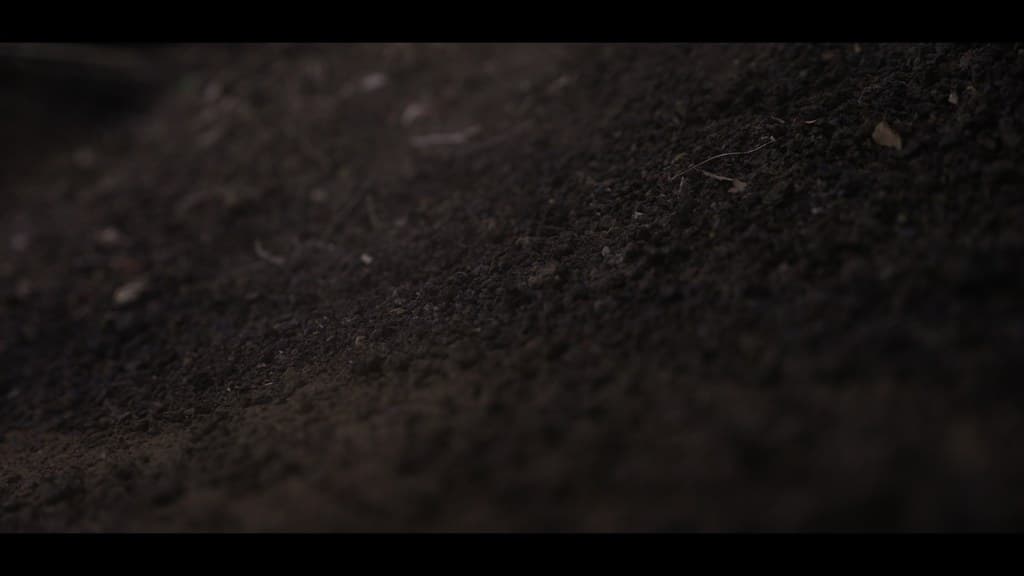 Nothing Disappears still 34