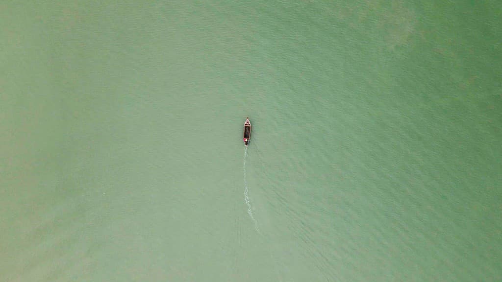 Worldview Seaweed film still 2