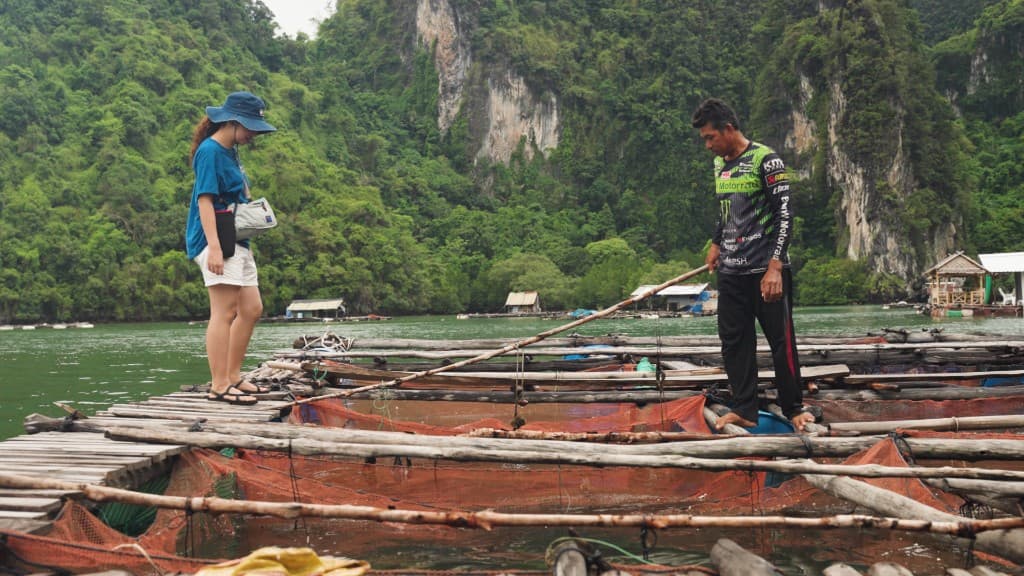 Worldview Seaweed film still 9